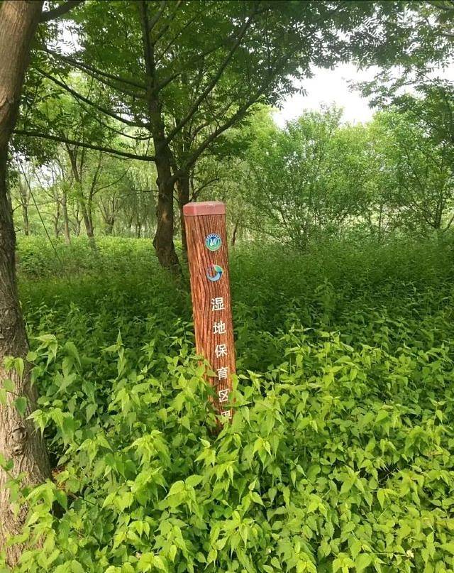 同里国家湿地公园