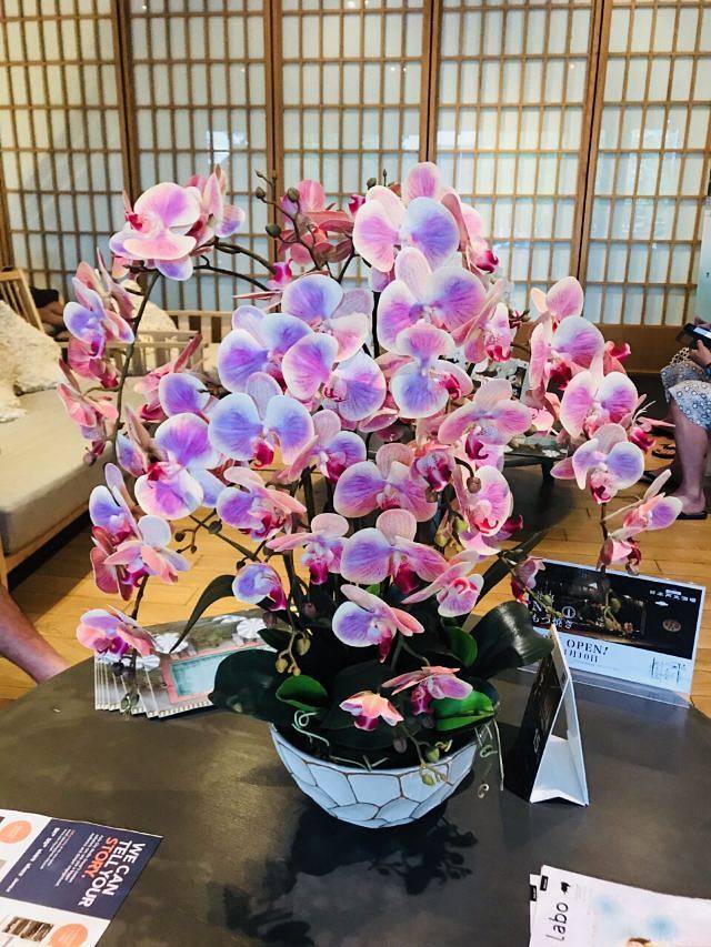 汤之森日式温泉馆(Sukhumvit 26店)