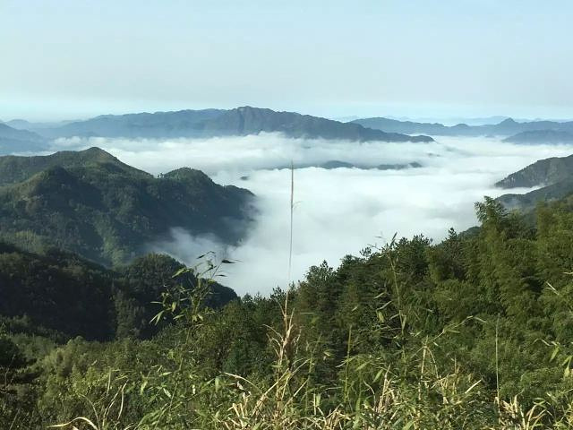 "因独特的自然景观，名列安徽省三大名山之一（黄山、九华山、天柱山）_天柱山"的评论图片