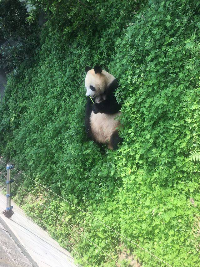 仙芝竹尖生态园