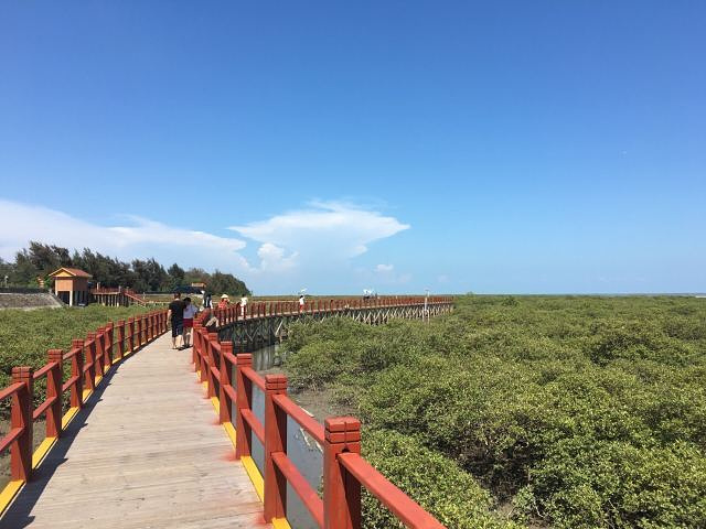 2023_北海金海湾红树林生态旅游区-评论-去哪儿攻略