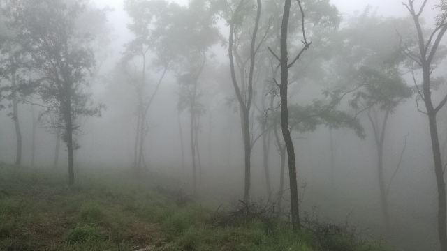 牛山国家森林公园