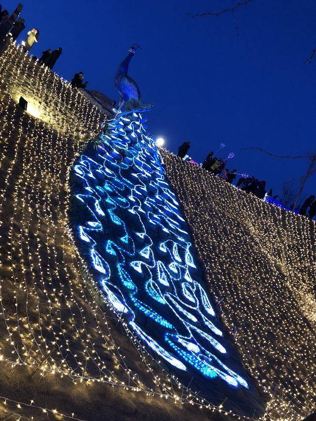 百草坡森林植物园