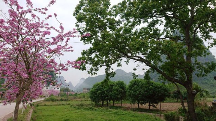 "_遇龙河景区"的评论图片