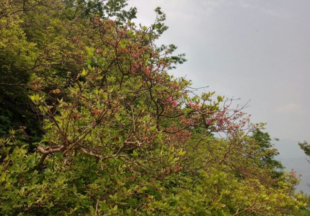 英山县天马寨风景区