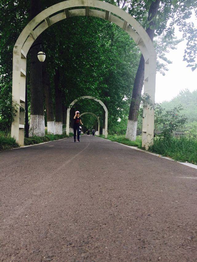 古淮河文化生态景区