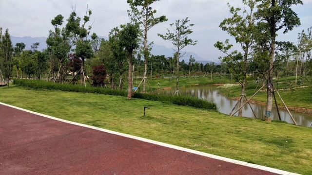 鸡冠山国家森林公园