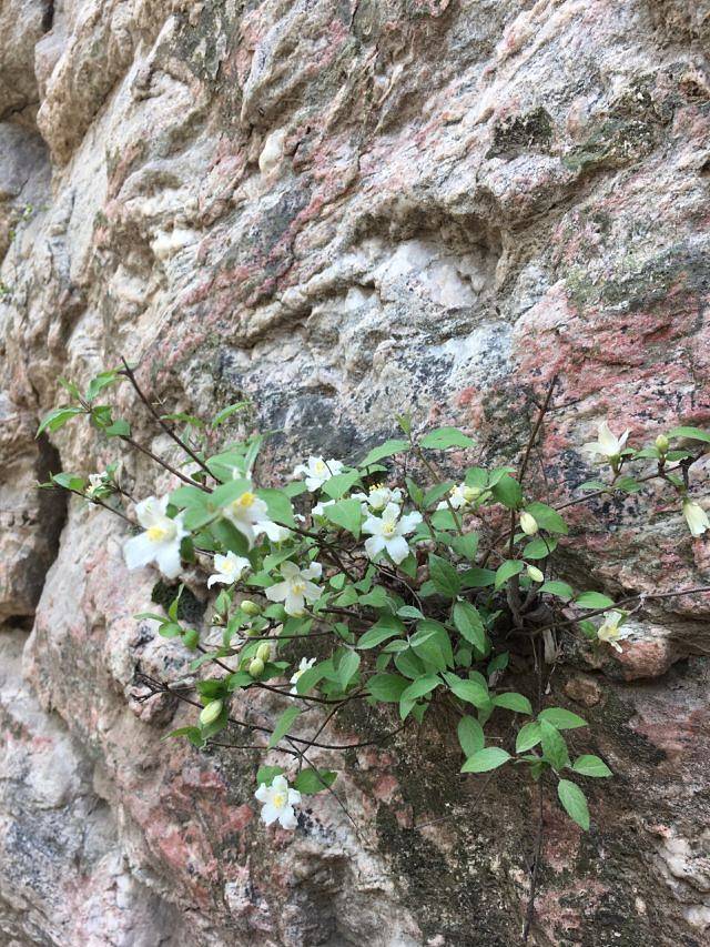 灵寿水泉溪自然风景区
