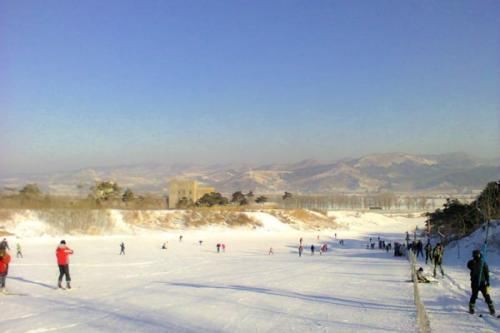 玉泉威虎山森林公园