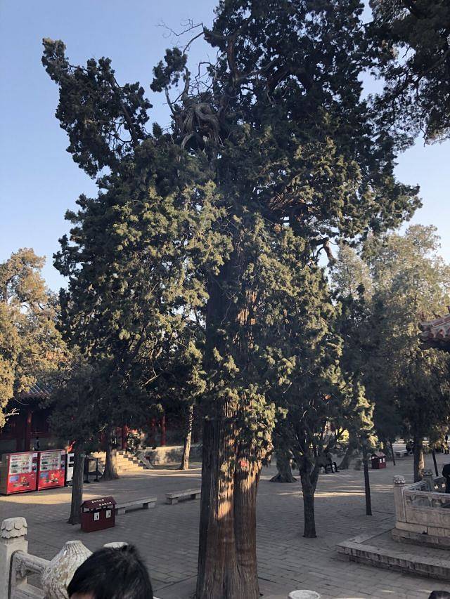 明光寺佛教文化景区