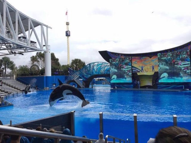 奥兰多海洋世界