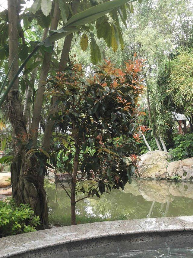 广西柳州凤凰河高尔夫球场