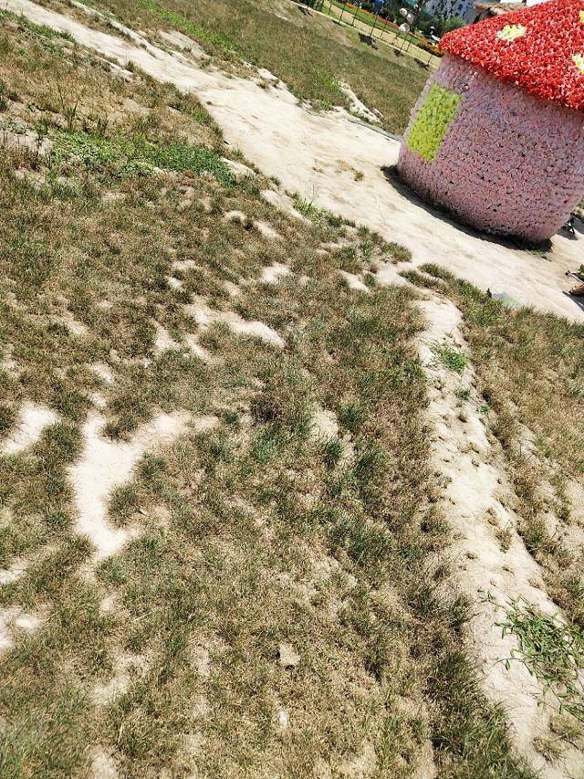 马畈农业奇幻乐园