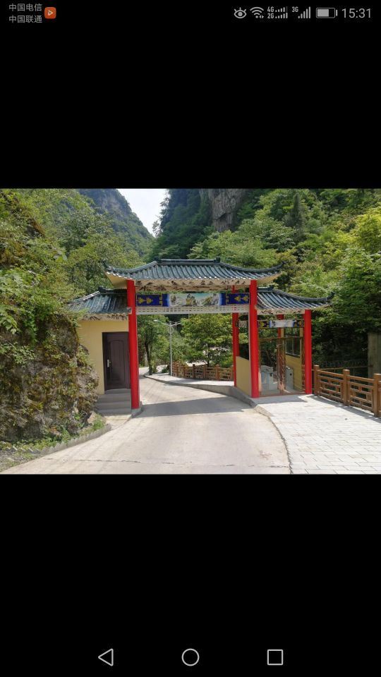 中亚楠木林景区