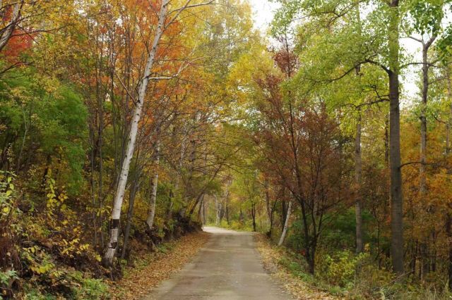 白草洼国家森林公园