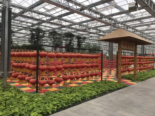 莘县中原现代农业嘉年华