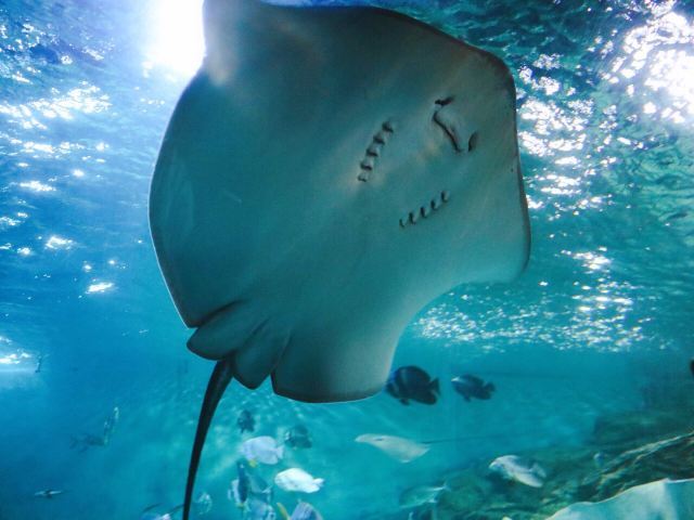 盐城海昌海洋探索馆