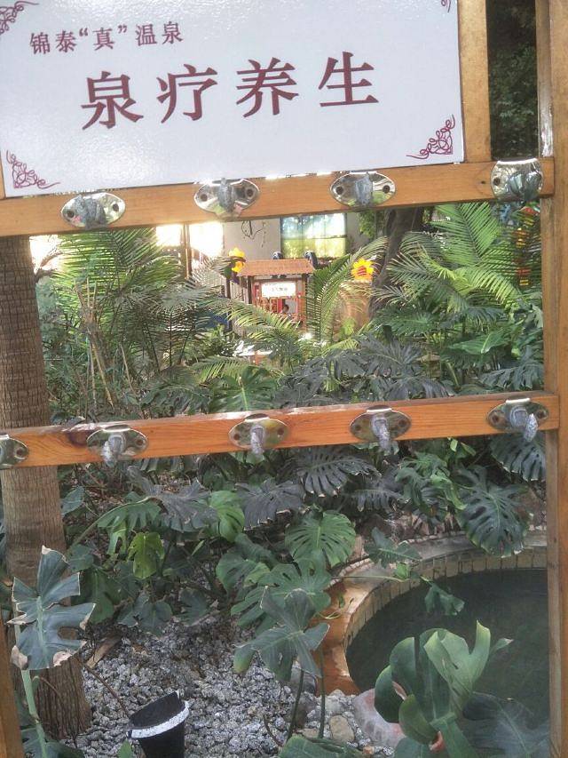 锦泰温泉度假村