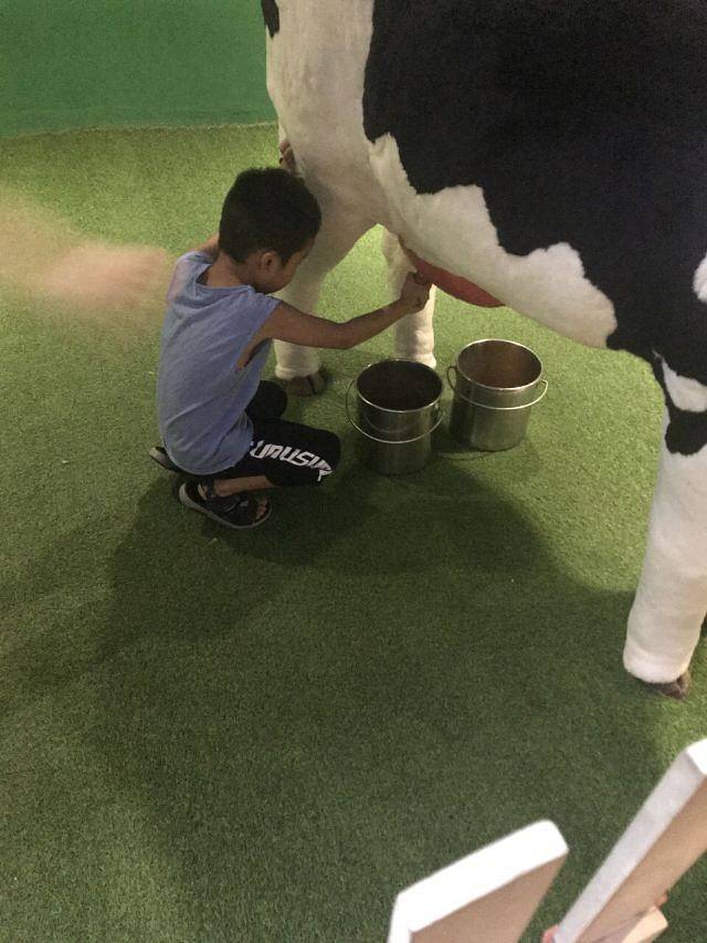 乐8小城(湛江店)