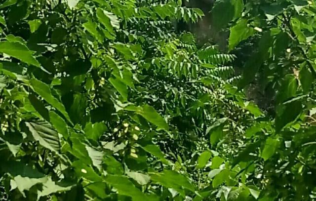 天池峡谷风景区