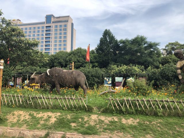 玉环漩门湾观光农业园