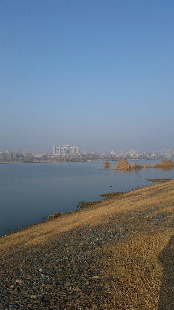 普罗旺斯薰衣草庄园