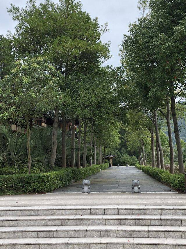 黄平浪洞森林温泉