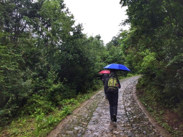 滇金丝猴国家公园