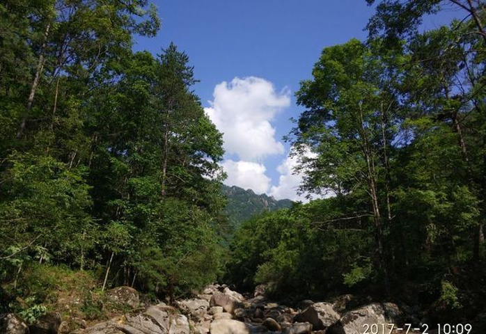 "吸够了氧量，走出森林吧，看到四周的山色，不由的感叹------这里真是世外桃园_通天河国家森林公园"的评论图片