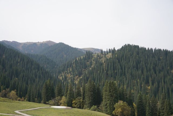 "新疆，很舒坦的地方，感觉哪里都是风景，让人感觉会很陶醉，天空，河流，树木_可可托海景区"的评论图片