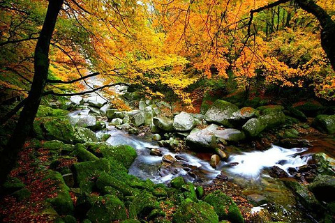 光雾山旅游景区旅游景点攻略图