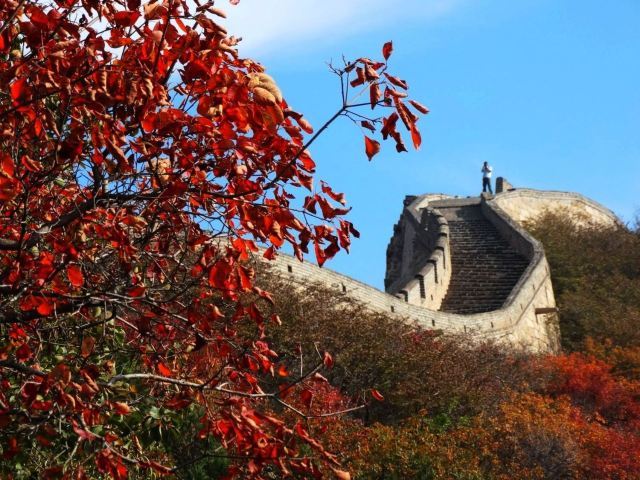 八达岭国家森林公园