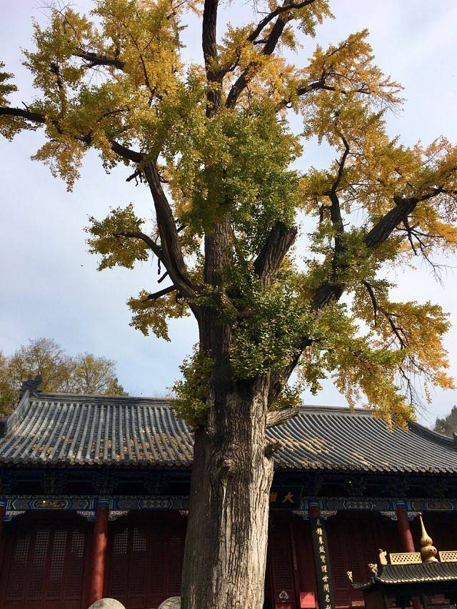 冠世榴园旅游度假区