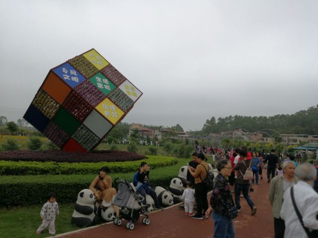 大埔围美丽乡村景区