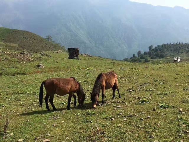 黑竹沟风景名胜区