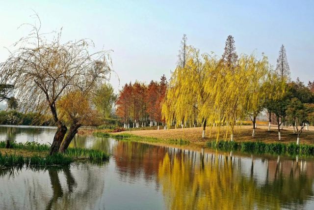 玄武湖公园-玄武湖情侣园