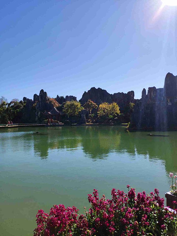 从小就是在电视里看石林今天看到了实景石林美不胜收大自然的鬼斧神工