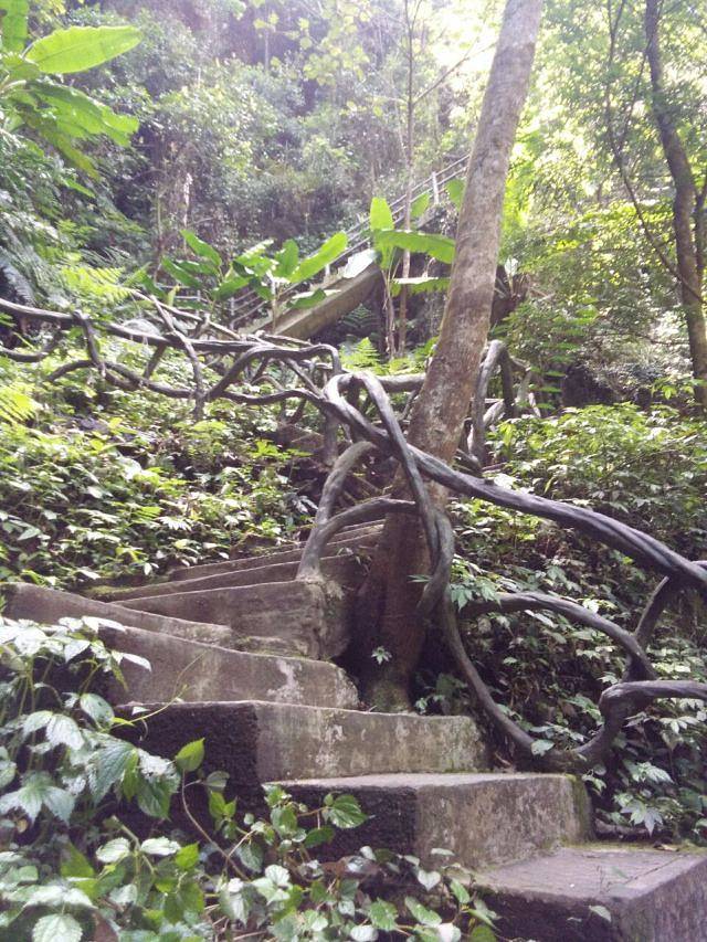 大桂山国家森林公园