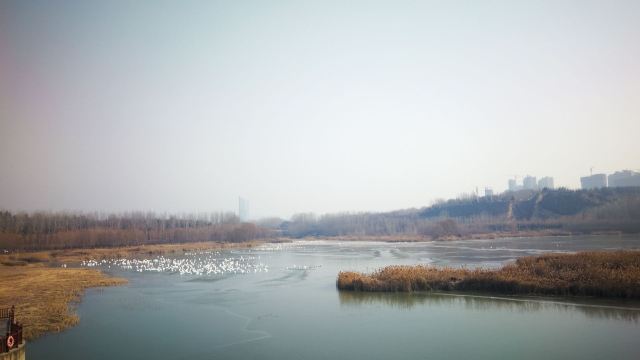 天鹅湖国家城市湿地公园