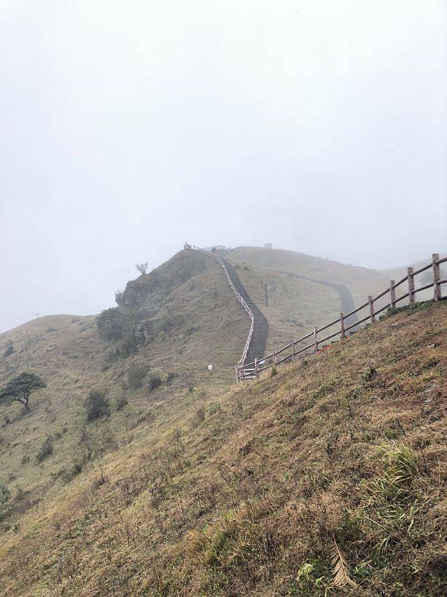 天龙顶国家山地公园