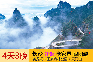 长沙出发到张家界4天3晚-黄龙洞 张家界 天门山索道 纯玩品质跟团旅游