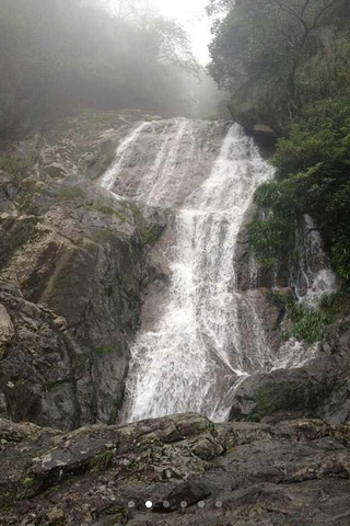 "_东天目山景区"的评论图片