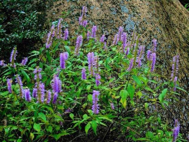 宁城县藏龙谷国家AAA级自然风景区