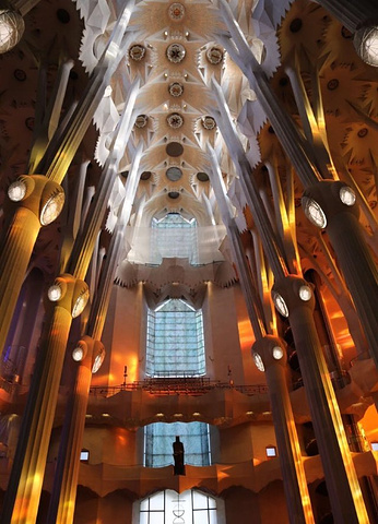 "_圣家主教座堂"的评论图片