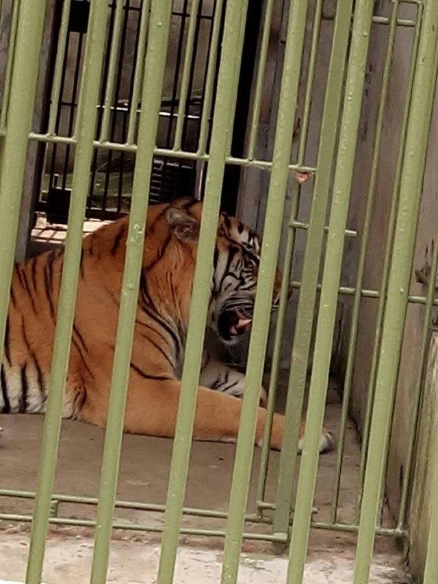 华东百畅生态休闲度假园