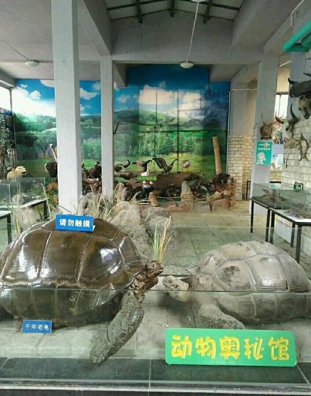 中山公园动物园