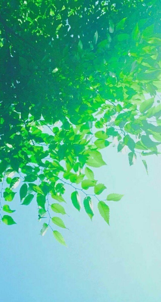 怀集燕山风景区