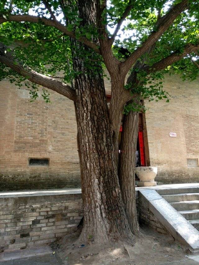 白云寺国家森林公园