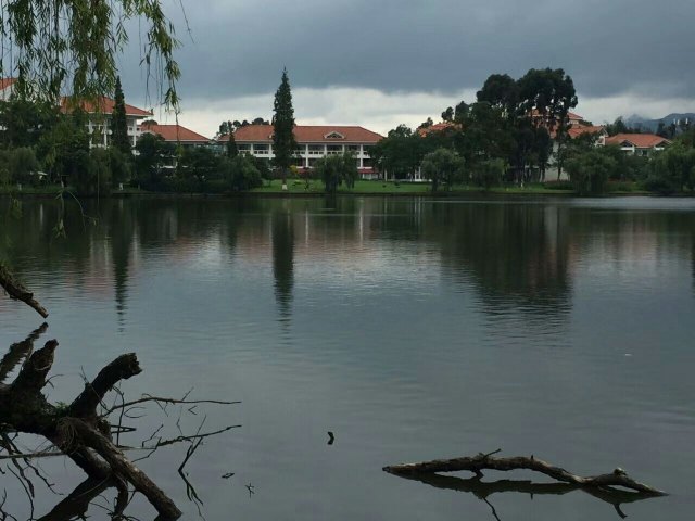 十鼓仁糖文创园区