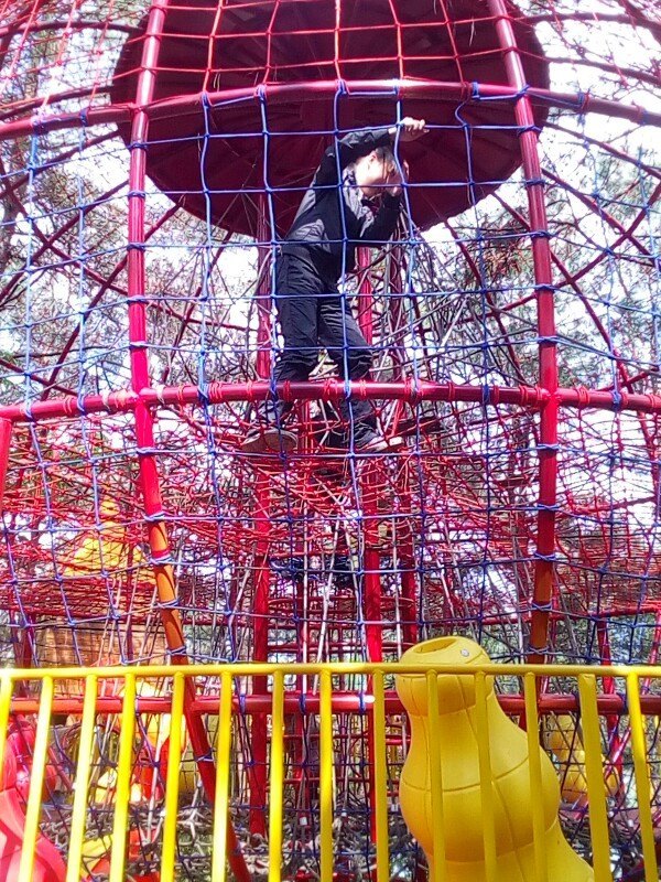 龙水湖松鹤岛运动公园